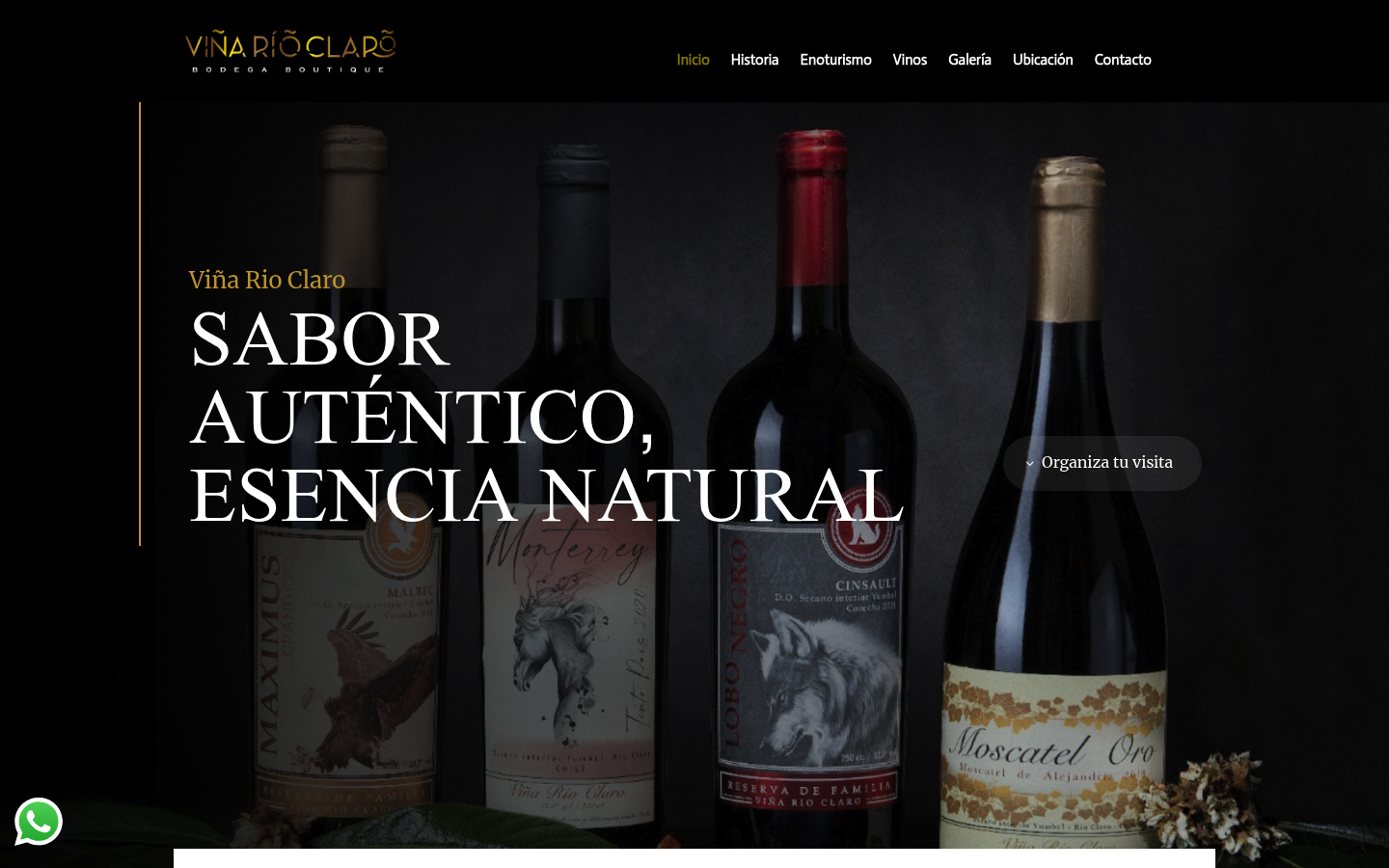 Vinario Claro Chile